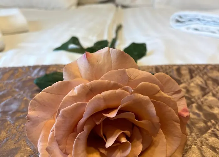 Hotel Rose City